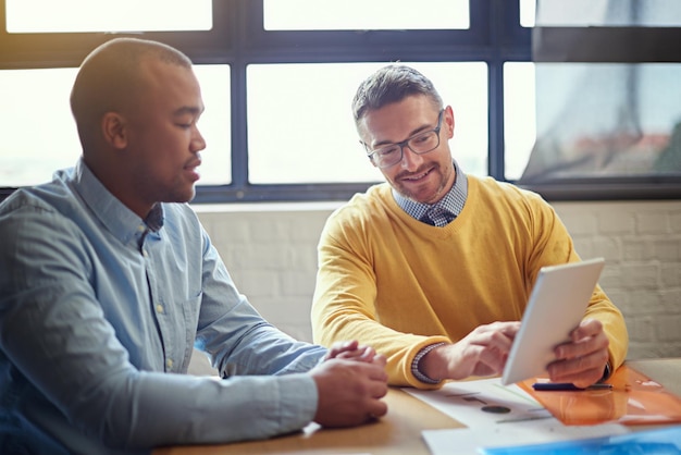 Guia completo sobre literacia financeira e tomada de decisões econômicas